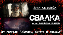 Постер книги Свалка