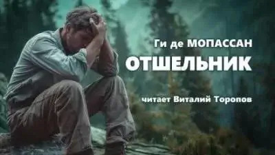 Постер книги Отшельник