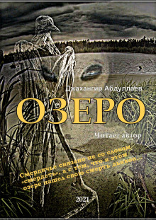 Постер книги Озеро