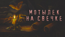 Постер книги Мотылек на свечке