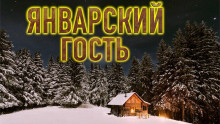 Постер книги Январский гость