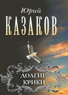 Постер книги Долгие крики