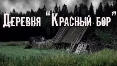 Постер книги Деревня «Красный бор»