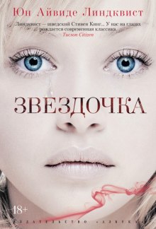 Постер книги Звездочка