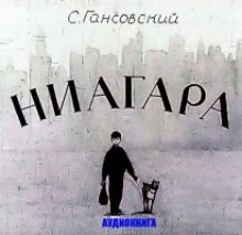 Постер книги Ниагара