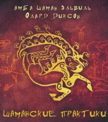 Постер книги Шаманские практики