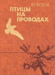 Постер книги Птицы на проводах