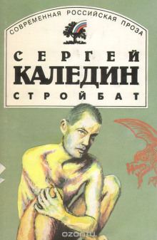 Постер книги Стройбат