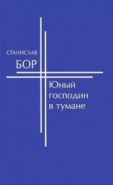 Постер книги Юный господин в тумане