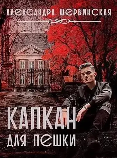 Постер книги Капкан для пешки