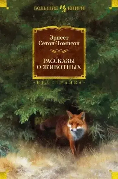 Постер книги Буйный и Колючая Холка