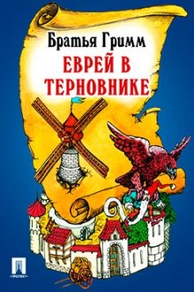 Постер книги Еврей в терновнике