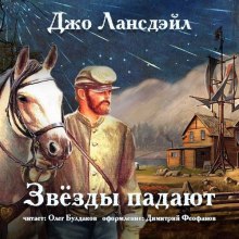 Постер книги Звёзды падают