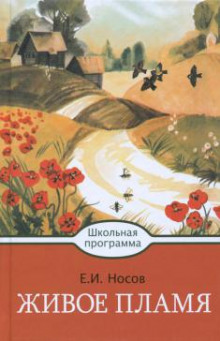 Постер книги Кукла. Живое пламя