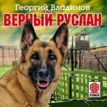 Постер книги Верный Руслан