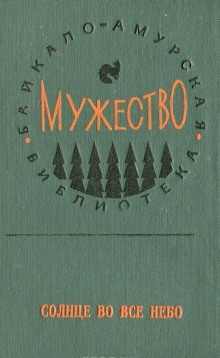 Постер книги Солнце во все небо