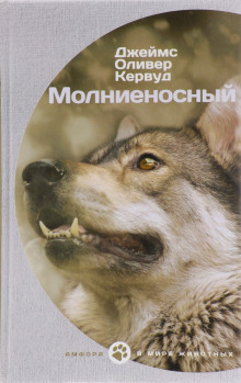 Постер книги Молниеносный