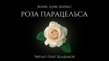 Постер книги Роза Парацельса