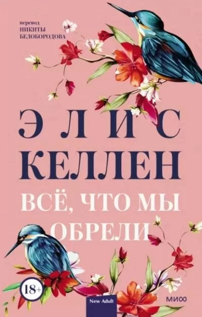 Постер книги Всё, что мы обрели