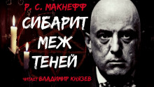 Постер книги Сибарит меж теней