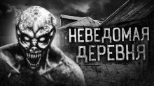 Постер книги Деревня оборотней