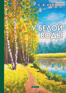 Постер книги У Белой воды