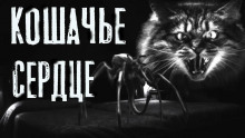 Постер книги Кошачье сердце