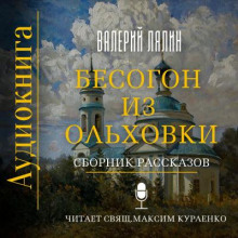 Постер книги Бесогон из Ольховки. Сборник рассказов