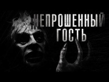 Постер книги Непрошенный гость