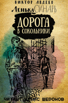 Постер книги Дорога в Сокольники