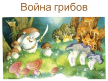 Постер книги Война грибов