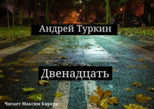 Постер книги Двенадцать