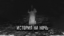 Постер книги Правдивая история моей семьи