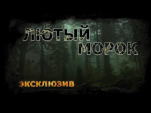 Постер книги Лютый морок