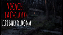 Постер книги Ветка