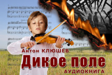 Постер книги Дикое Поле