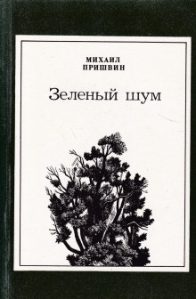 Постер книги Зелёный шум. Сборник