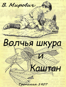 Постер книги Волчья шкура и каштан