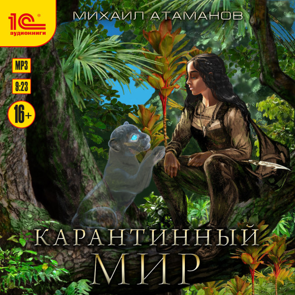 Постер книги Карантинный мир