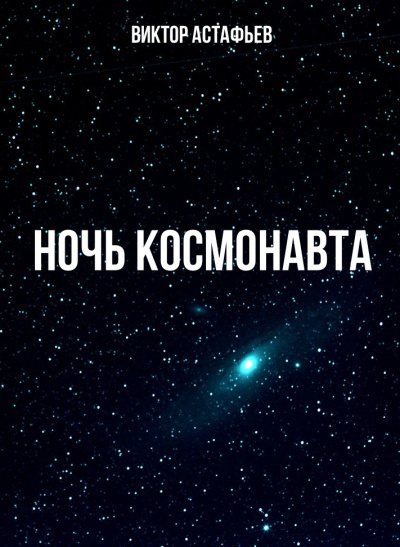 Постер книги Ночь космонавта