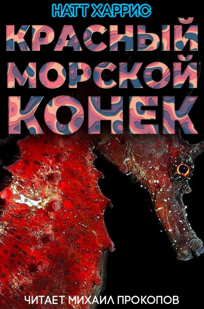 Постер книги Красный морской конёк