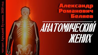 Постер книги Анатомический жених