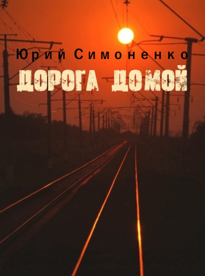 Постер книги Дорога домой