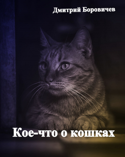 Постер книги Кое-что о кошках