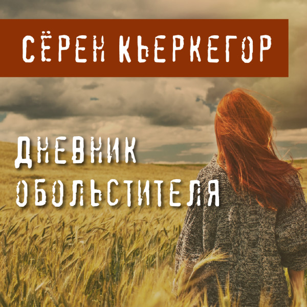 Постер книги Дневник обольстителя