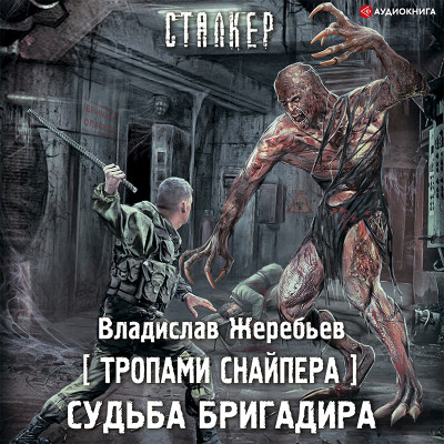 Постер книги Тропами Снайпера. Судьба Бригадира