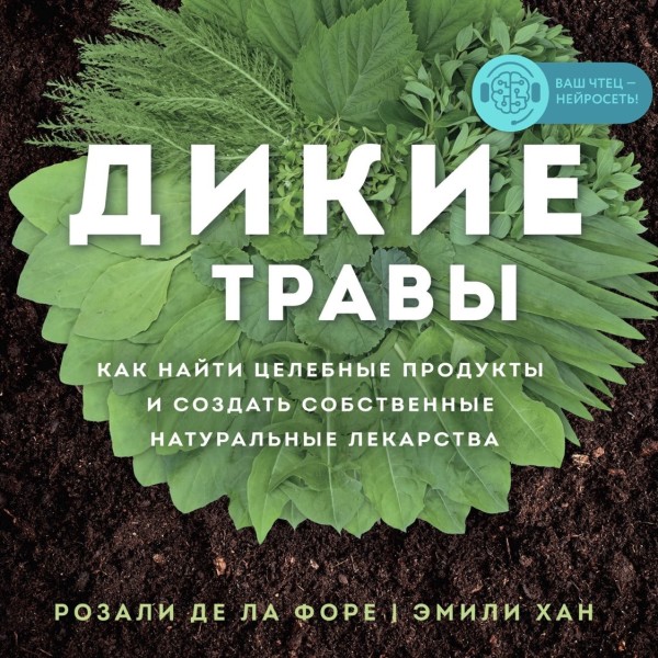 Постер книги Дикие травы: как найти целебные продукты и создать собственные натуральные лекарства