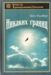 Постер книги Безграничное