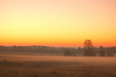 Постер книги Миниатюры