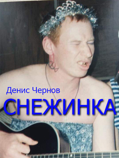 Постер книги Снежинка